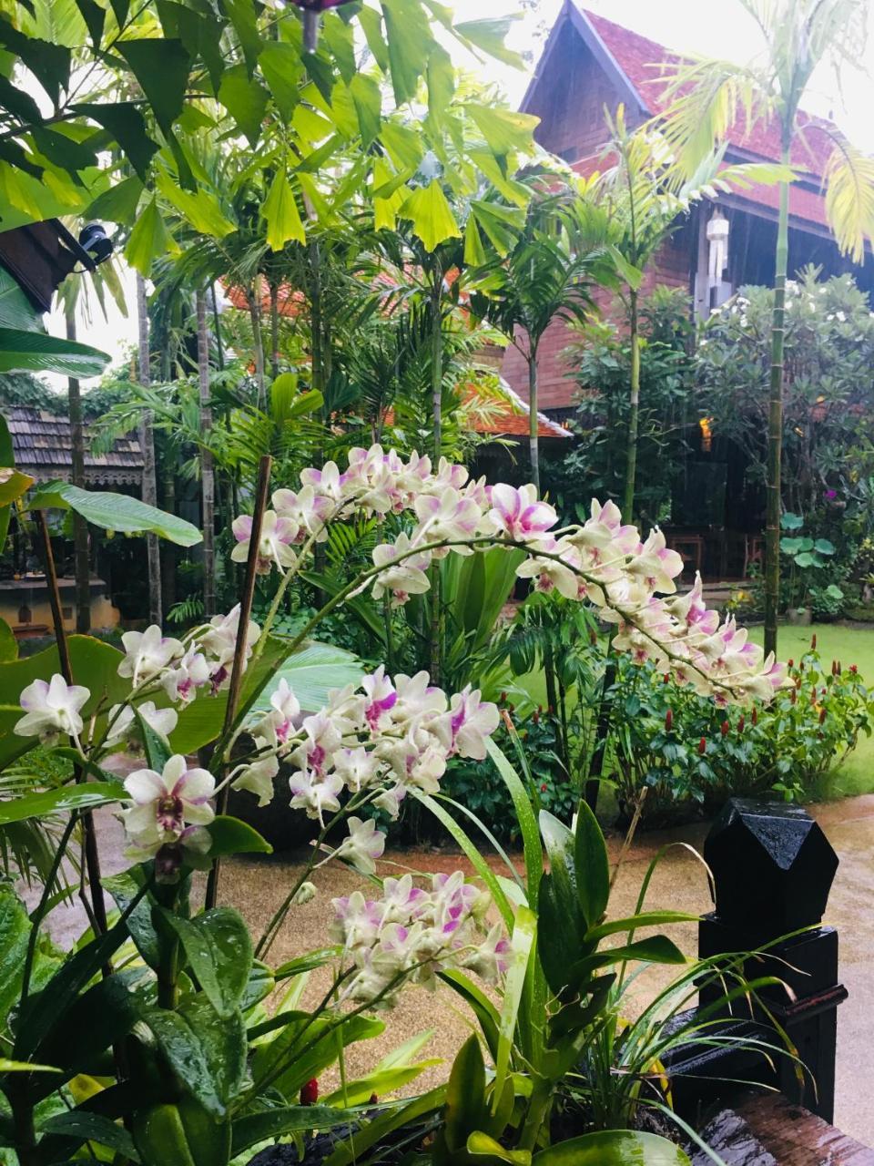 Hongkhao Village Khu nghỉ mát 3*